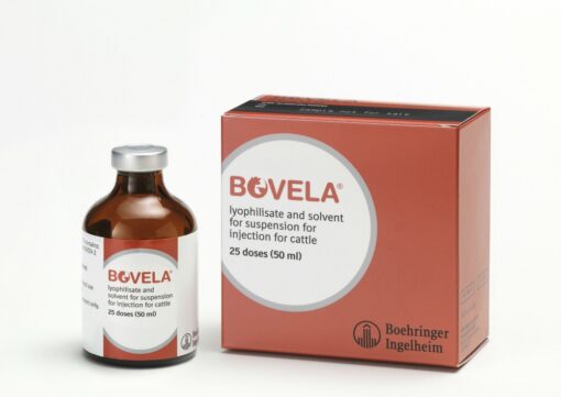 Buy Bovela