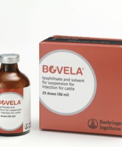 Buy Bovela