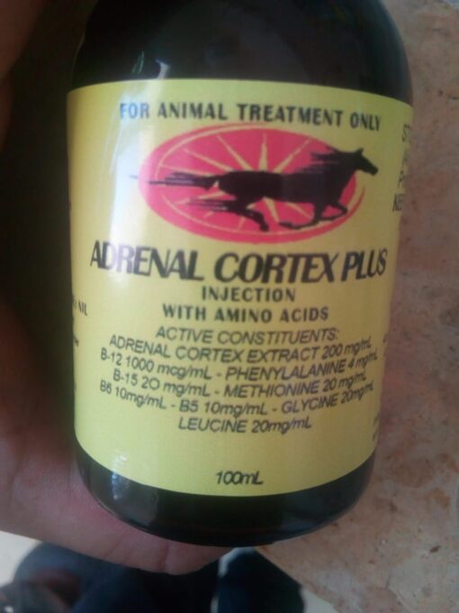 Buy Adrenal Cortex Plus