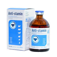 BUY ANTI STAMIN 100 ML