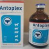 BUY ANTOPLEX – TORNEL – 100ML