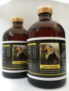 BUY ASTA XANTHIN – 100 ML