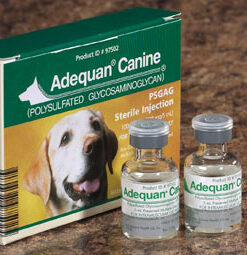 Buy Adequan Canine 2 x 5ml vials