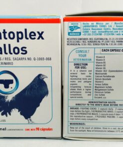 Buy Antoplex gallos