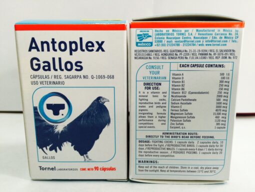 Buy Antoplex gallos