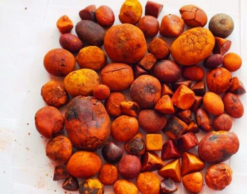 Buy COW GALLSTONE / Ox Gallstone