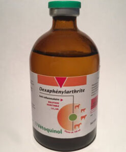 BUY DEXAPHENYLARTHRITE – 100 ML (VETOQUINOL)