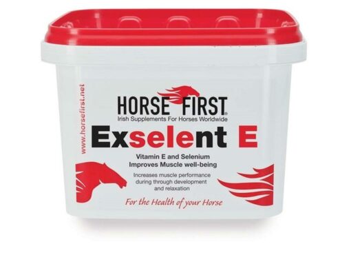 Buy Horse First Exselent E 10KG