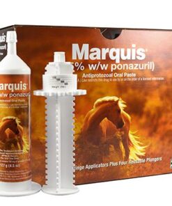 Buy Marquis Paste