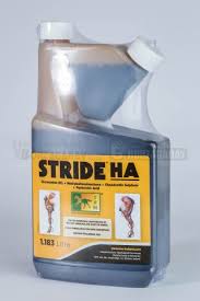 Buy STRIDE HA