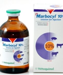 Buy Marbocyl 10% 100ml