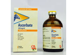 Buy Ascorbate 100 ml