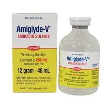 BUY AMIGLYDE-V