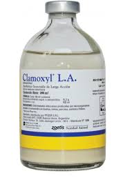 Buy Clamoxyl LA – 100ml