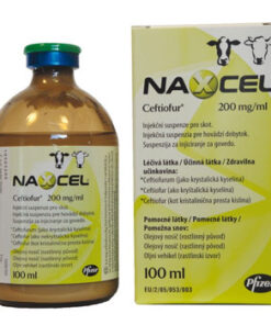 Buy Naxcel 200mg